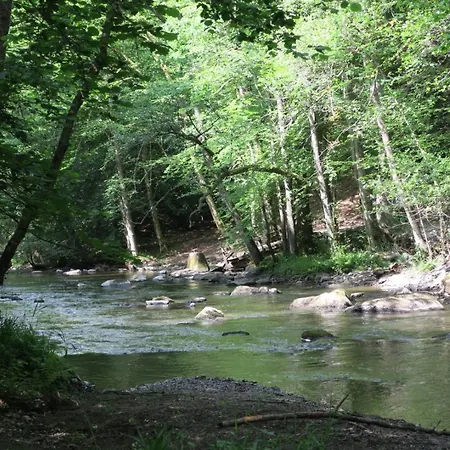L'atelier - Chaleureux Et Relaxant